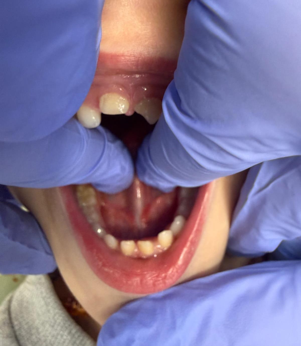 whatsapp image 2026 02 24 at 11.32.37