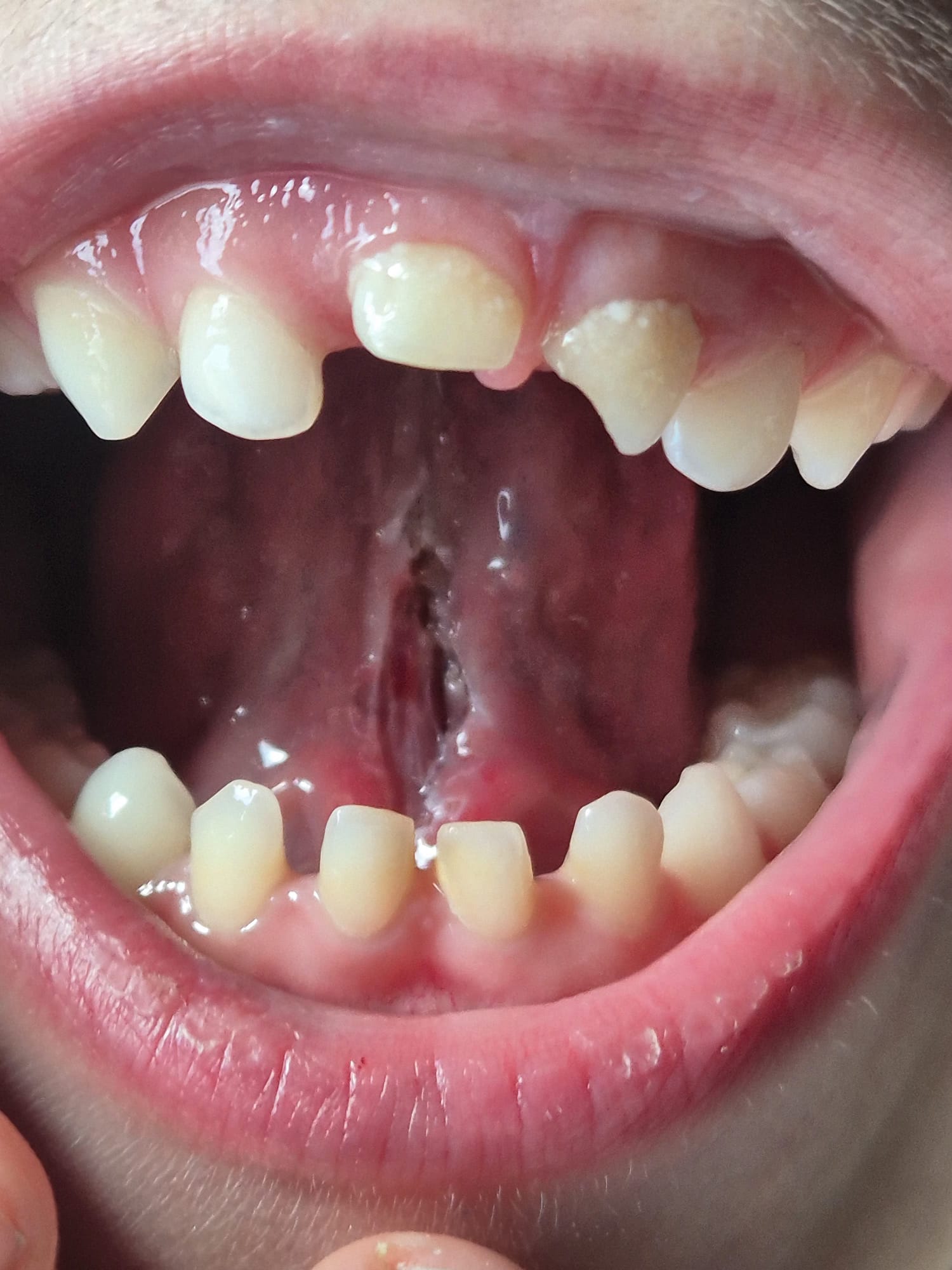 whatsapp image 2026 02 24 at 11.32.38